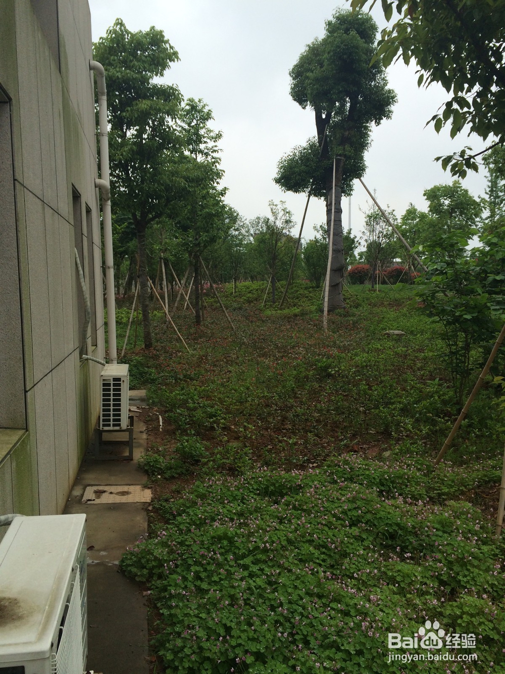 买车之前考虑的事