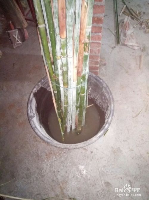 刚砍回来的竹子，怎么保持水分？