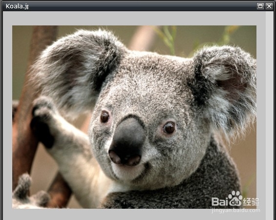 怎么制作动态头像