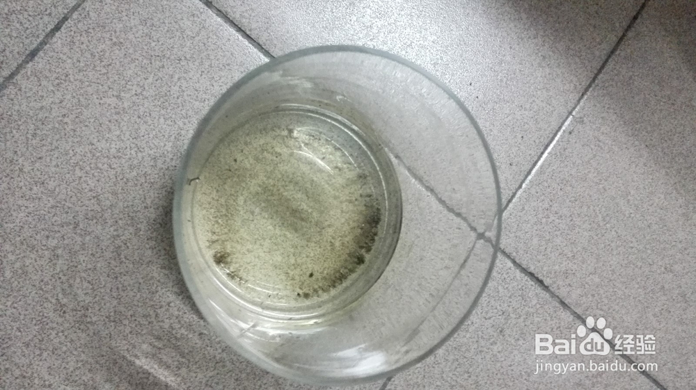 怎样做一个长期不用浇水的花盆