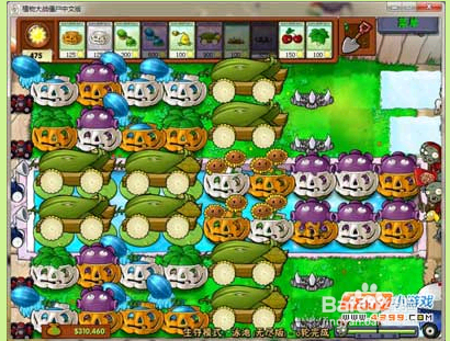 植物大战僵尸1大海教程