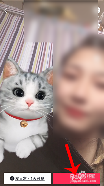 抖音猫咪蹭蹭怎么拍