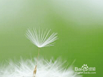 职场中如何提高交际能力,方法实用!