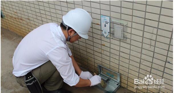 养殖场如何灭鼠