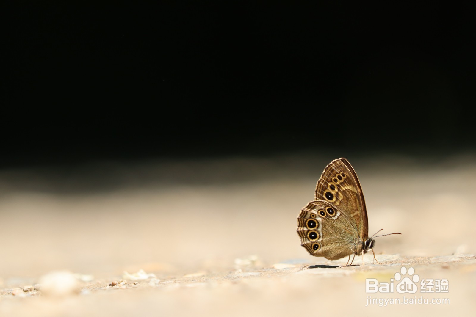 如何问女生的名字显得幽默