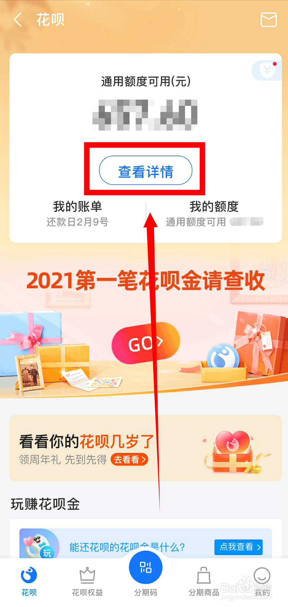 支付宝怎么看花呗明细