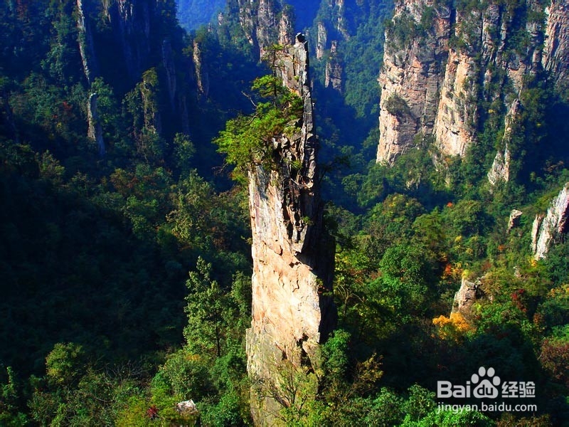三明到张家界自驾游