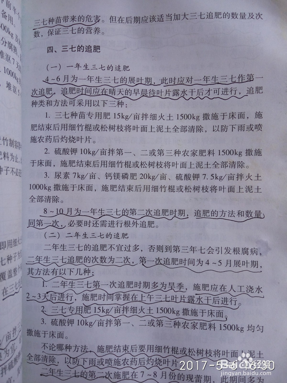 如何辨别三七的优劣,种植园技术员为您解惑