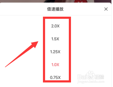小红书怎么倍速播放视频