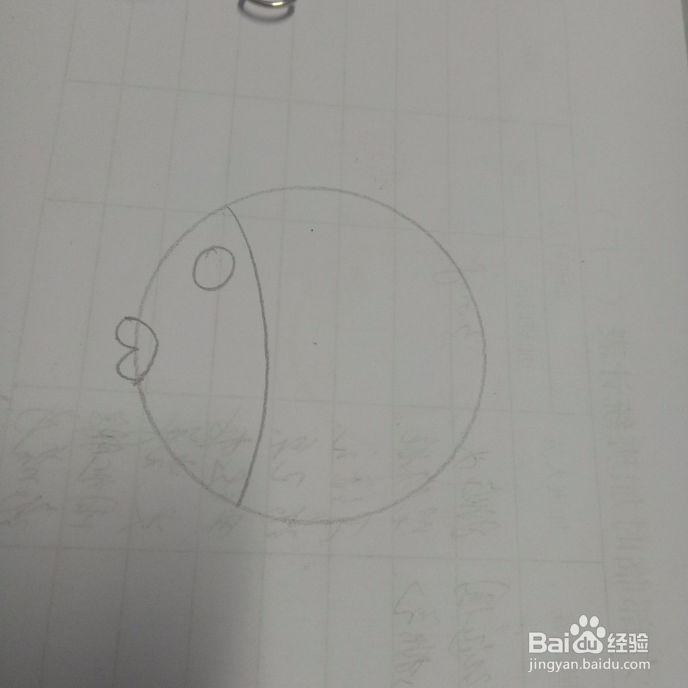 热带小鱼简笔画怎么画