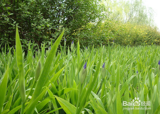 春季健康养生原则