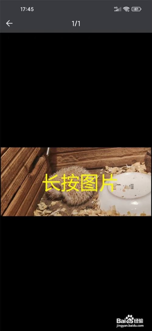 进圈app里面的好友相册照片如何保存
