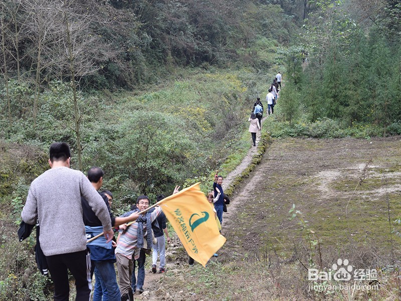 成都户外拓展训练或培训