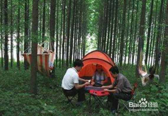 潜江最好玩的地方推荐