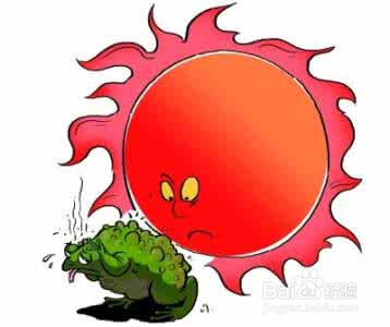 有哪些方法可以消毒?