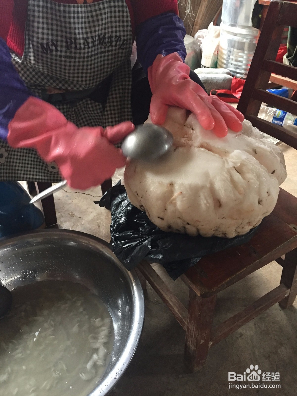 魔芋制作全过程