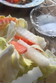 自制重庆跳水泡菜