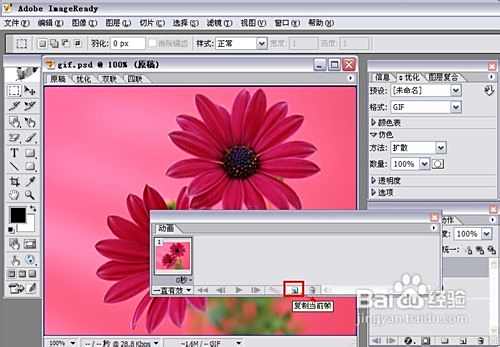 用PhotoShop和ImageReady制作Gif动画【图解】