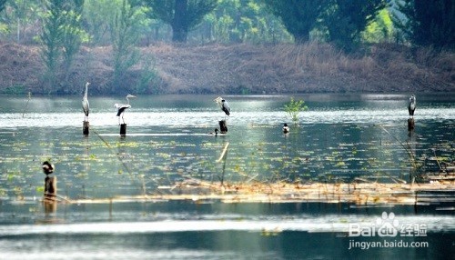 父亲节一家人在北京过节的好去处