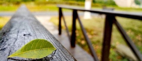 怎样用华为mate10pro拍出多彩的天空