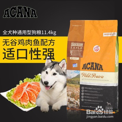 在众多狗粮品牌中，怎么选择一个品牌狗粮