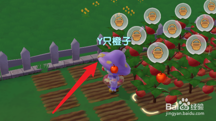 摩尔庄园手游铿锵玫瑰怎么得