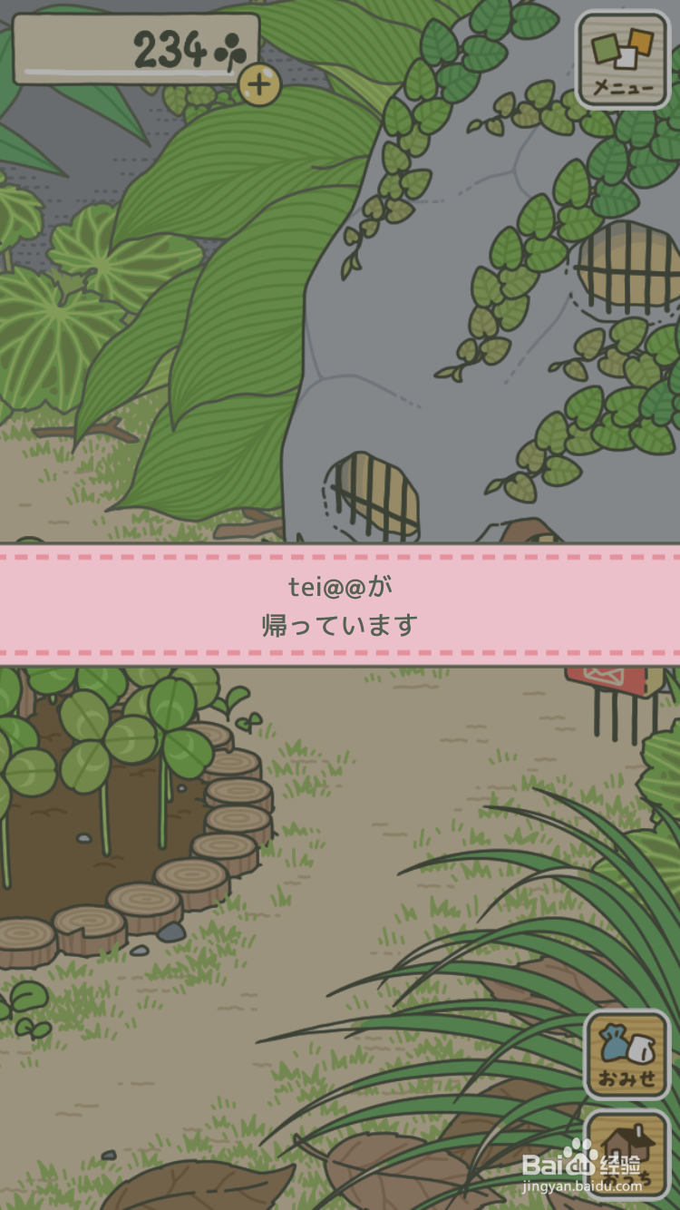 青蛙旅行为什么会在国内流行呢？