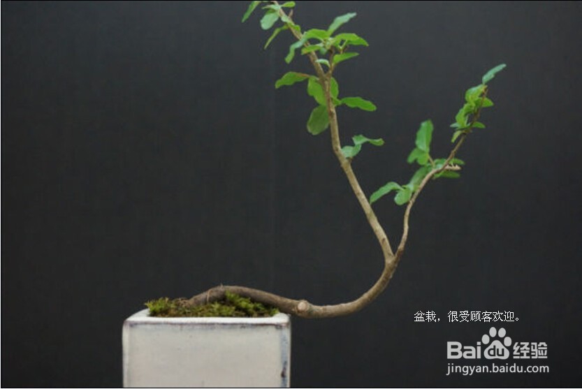 创业从地摊中赚得第一桶金