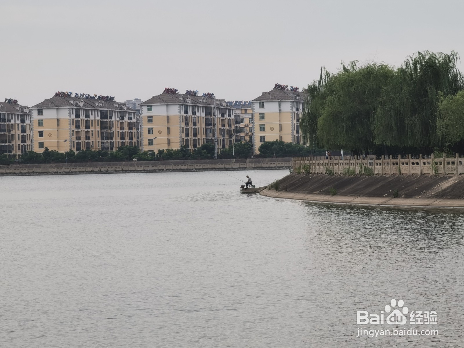 孝昌风景之观塘