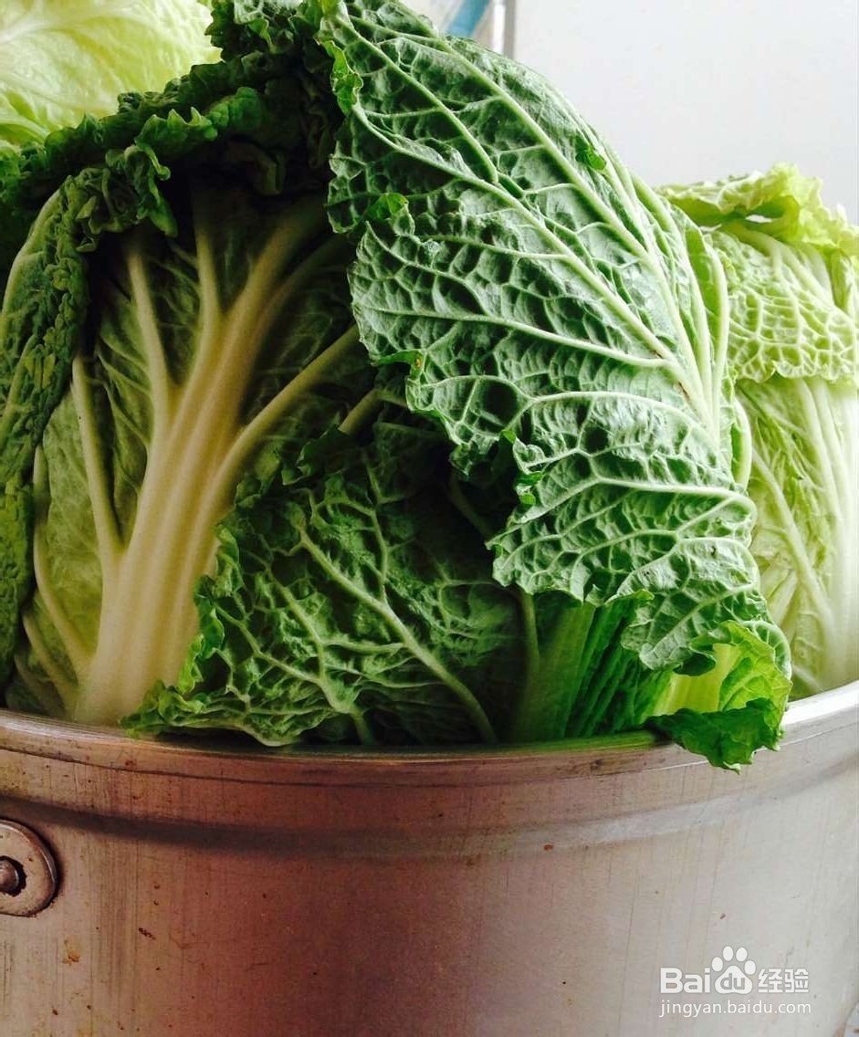 怎样腌制酸菜