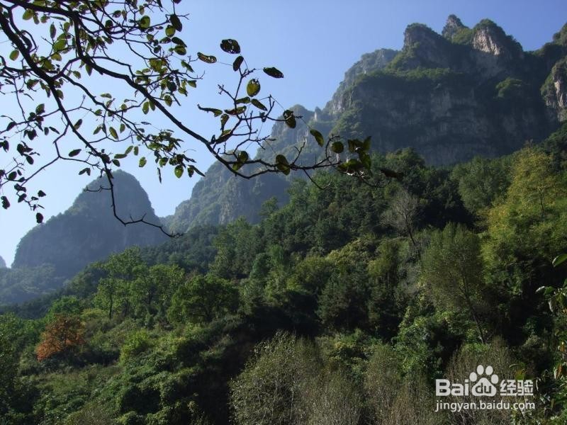 万仙山露营攻略