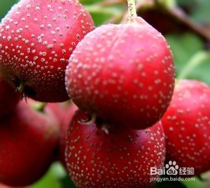 孕妈保胎五大食物千万不能碰