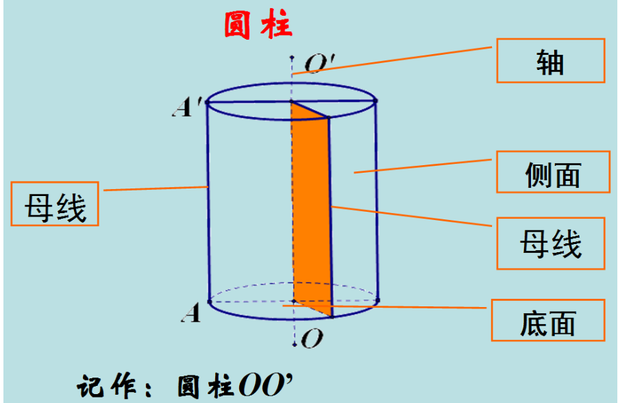 圆柱的侧面和底面相交成几条线他们是什么是什么