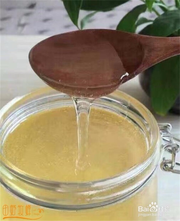 正宗洋槐蜜是什么样子?好的洋槐蜜怎样?