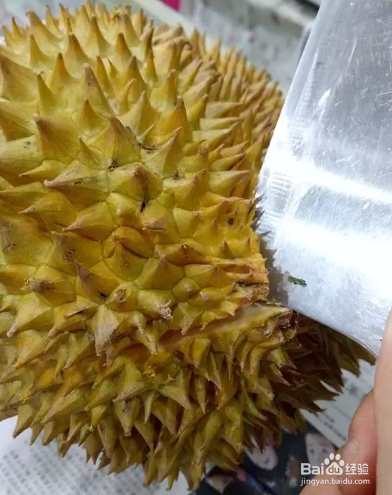 购买榴莲时如何挑选好的榴莲？