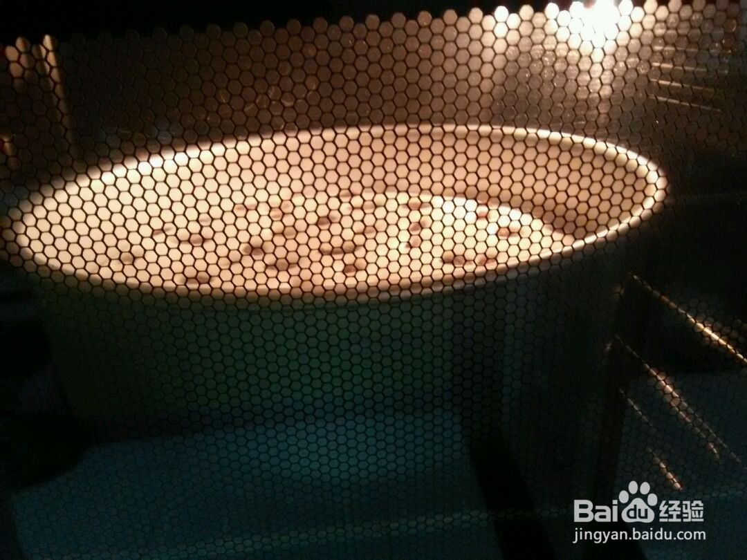 纯蛋清提子蛋糕的做法