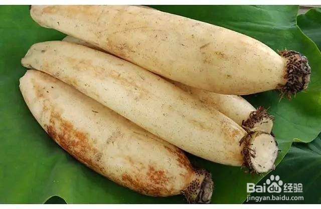 蔬菜也能养胃？肠胃不适的人有福了！