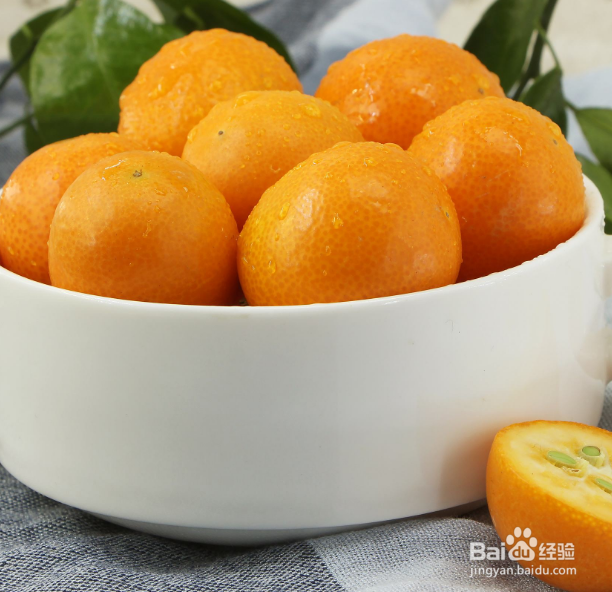 金桔怎么栽培