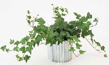 房子检测出甲醛该怎么处理?甲醛怎么检测