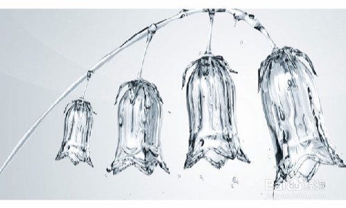怎样正确理解集合的含义
