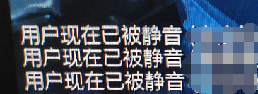 LOL如何屏蔽队友聊天、如何终生屏蔽某个玩家