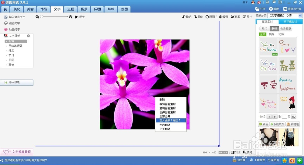 怎样做花底字