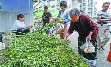 端午节为什么要挂艾草