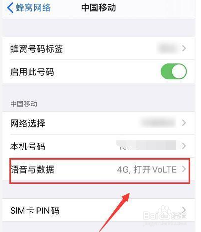 苹果手机如何手动切换4g和5g网络?
