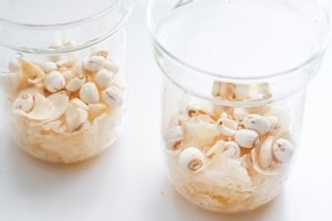 莲子百合银耳羹的攻略