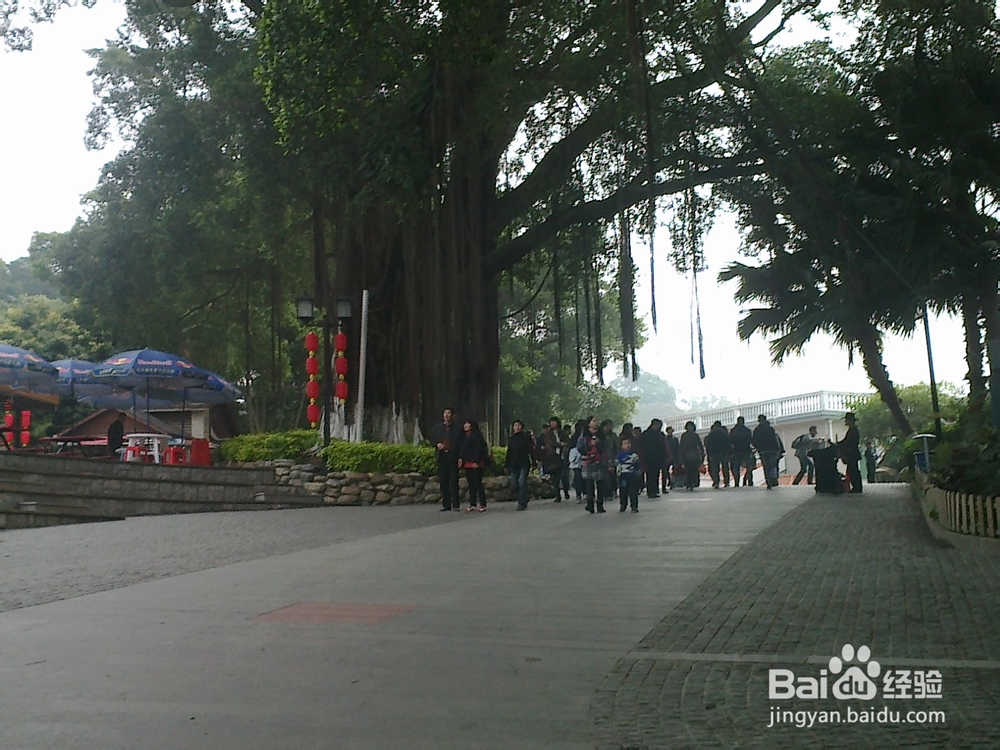 鼓浪屿旅游攻略之菽庄花园