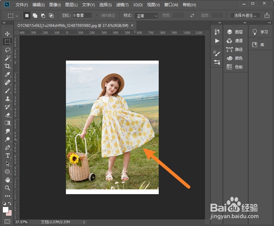 ps怎么选择自己想要的区域