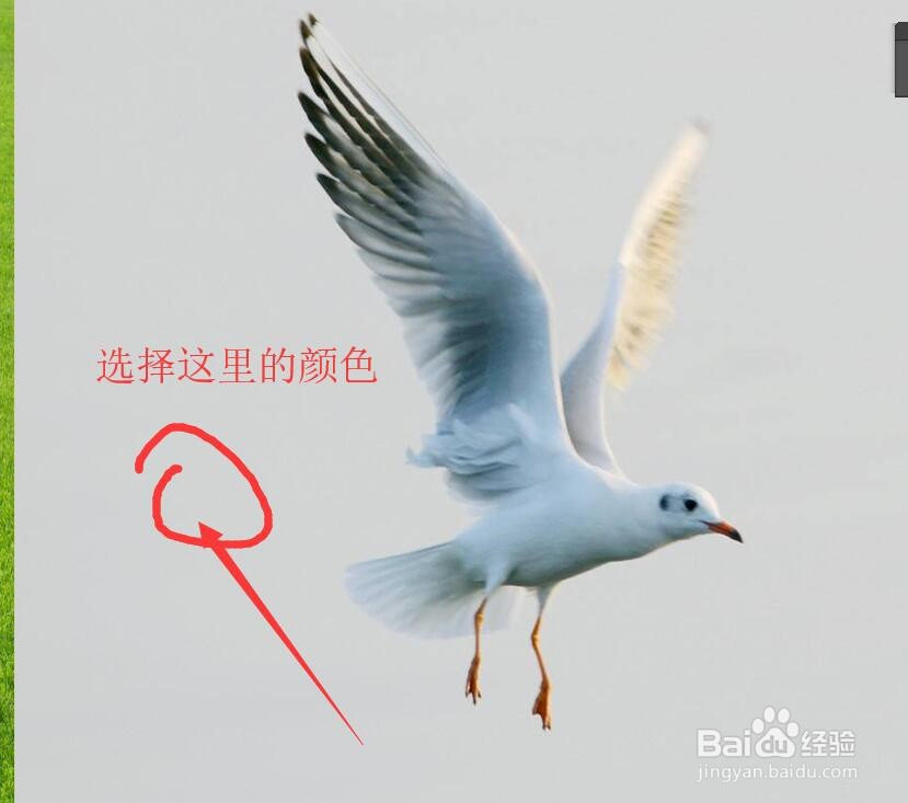 photoshop如何抠图