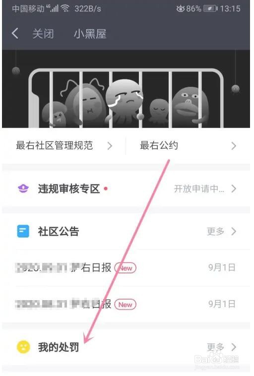 最右我的处罚怎么查询