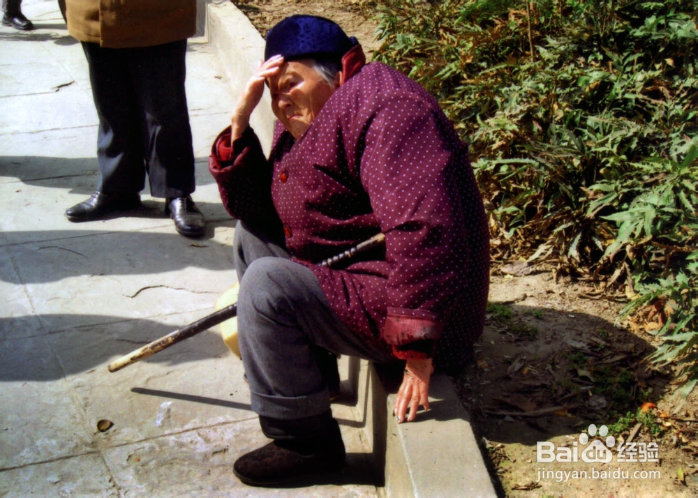 冬季养生技巧推荐